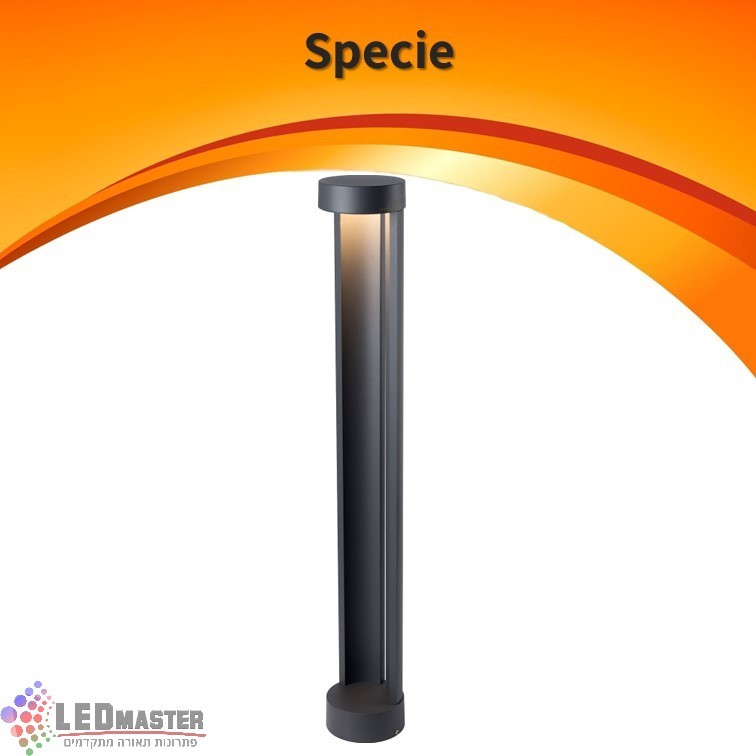 ��� ����� ���� ���� ����� 3000K 9W