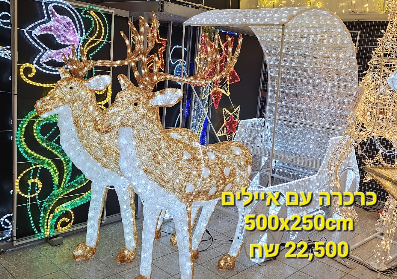 ��� ����� ������- ����� �� ����� 500x250cm