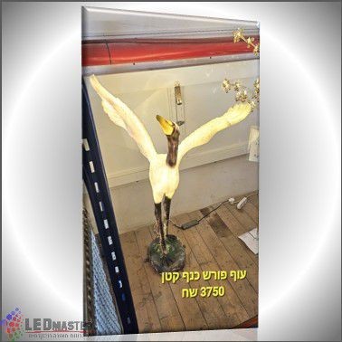��� ����� ������ - ��� ���� ��� ����