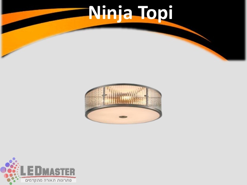 גוף תאורה רוסלנה צמוד תקרה 40W גוף תאורה רוסלנה צמוד תקרה 40W