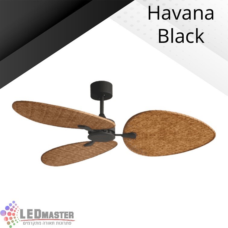 ������ ���� ������ ���� "56 ����� ������ ����