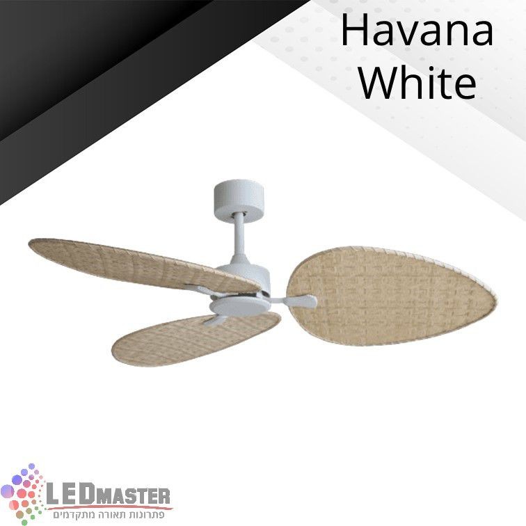 ������ ���� ������ ���� "56 ����� ������ ����