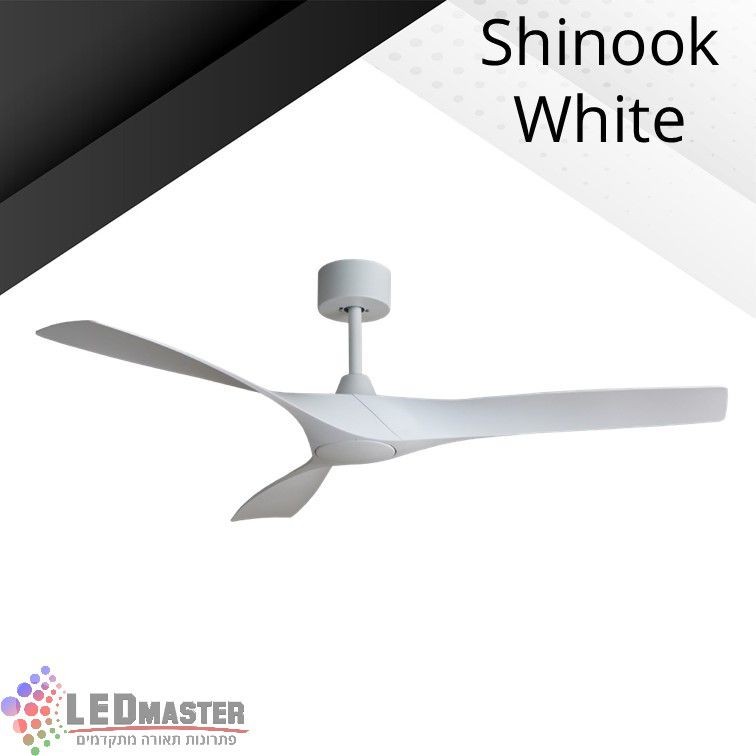 ������ ���� ������ ���� "56 ����� ������ ���