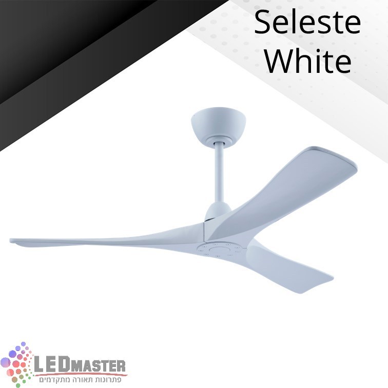 ������ ���� ������ ���� "48 ����� ���� ���