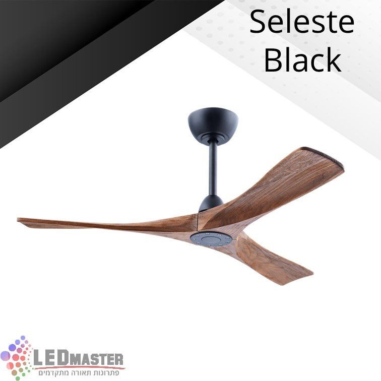 ������ ���� ������ ���� "48 ����� ���� ���