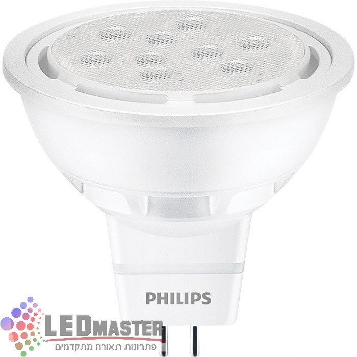 ���� �� �������