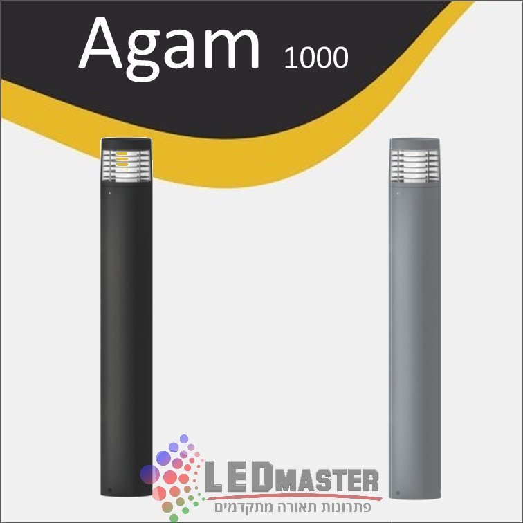 ���� ������ ����  ����� ���