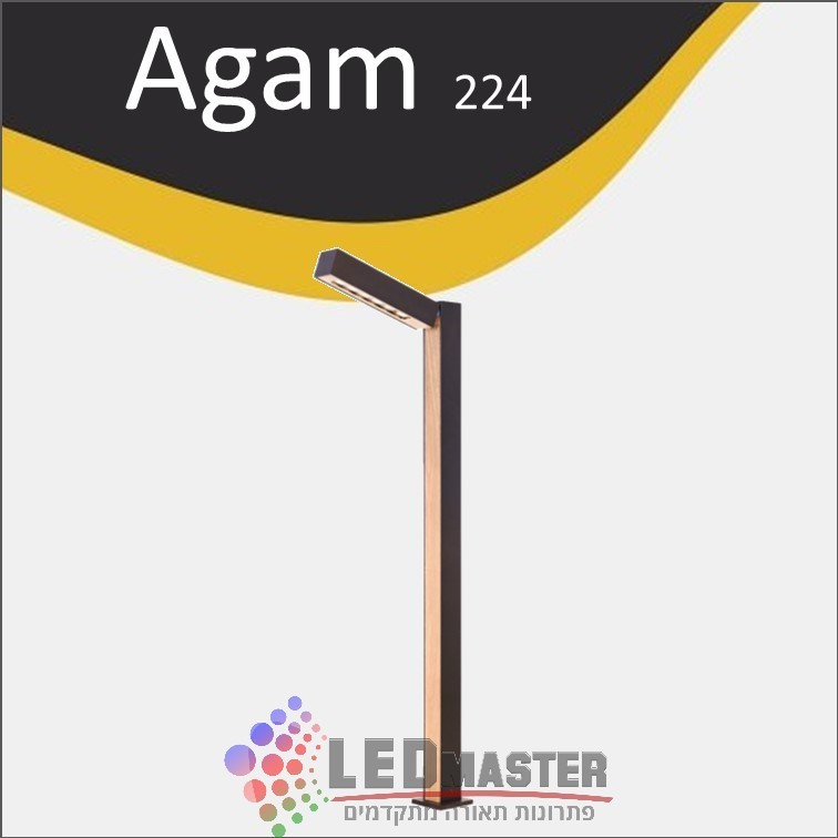 ���� ������ ���� 6W ����� ���