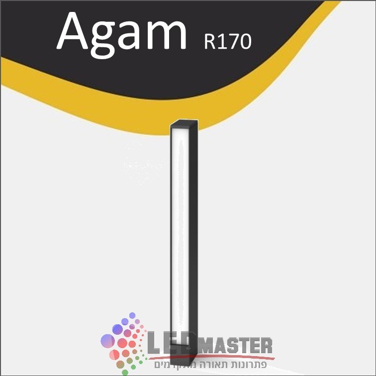 ���� ������ ���� 6W ����� ���