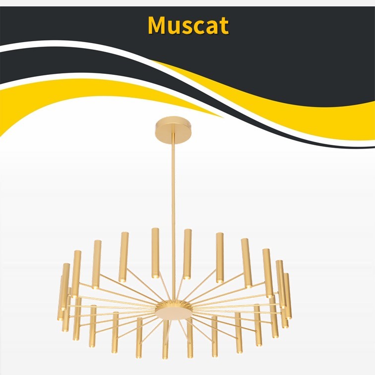 ��� ����� ���� 24x3W ����� ���� ��� (25387)