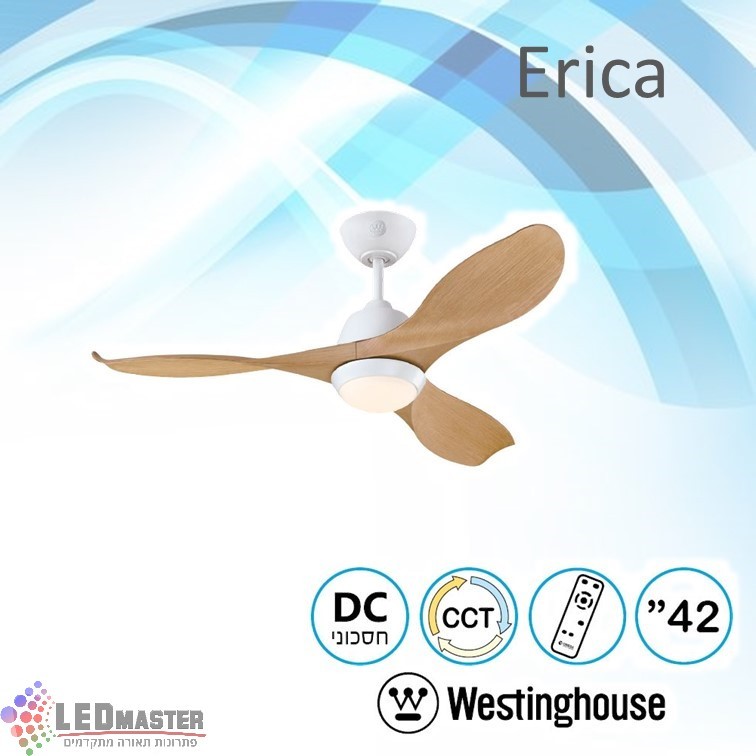 ������ ���� ����� CCT 42" Erica
