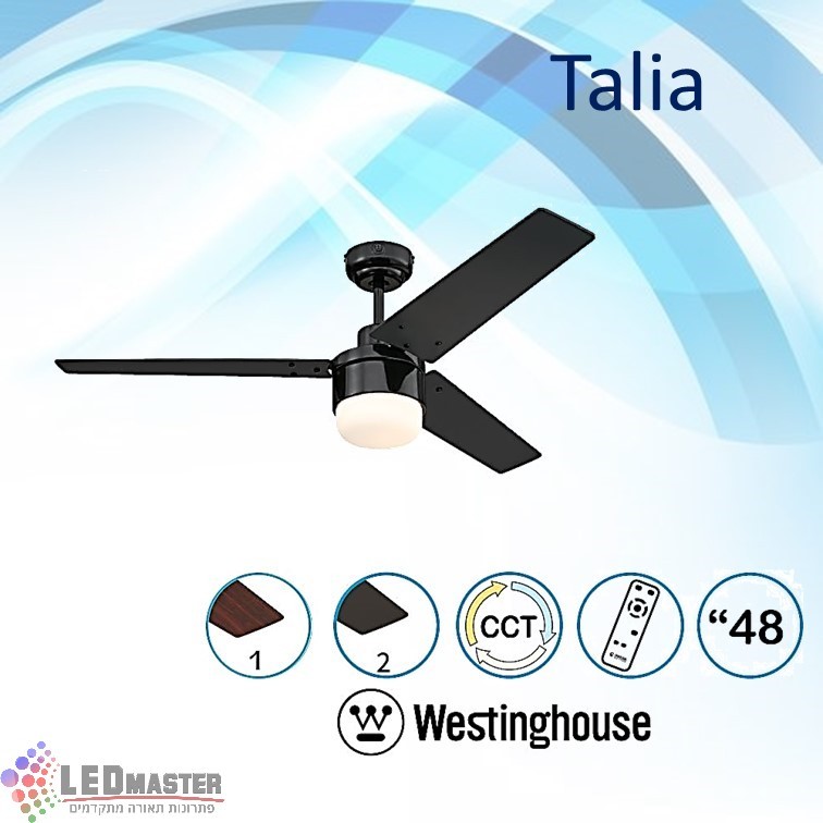 ������ ���� ���� CCT 48" Talia