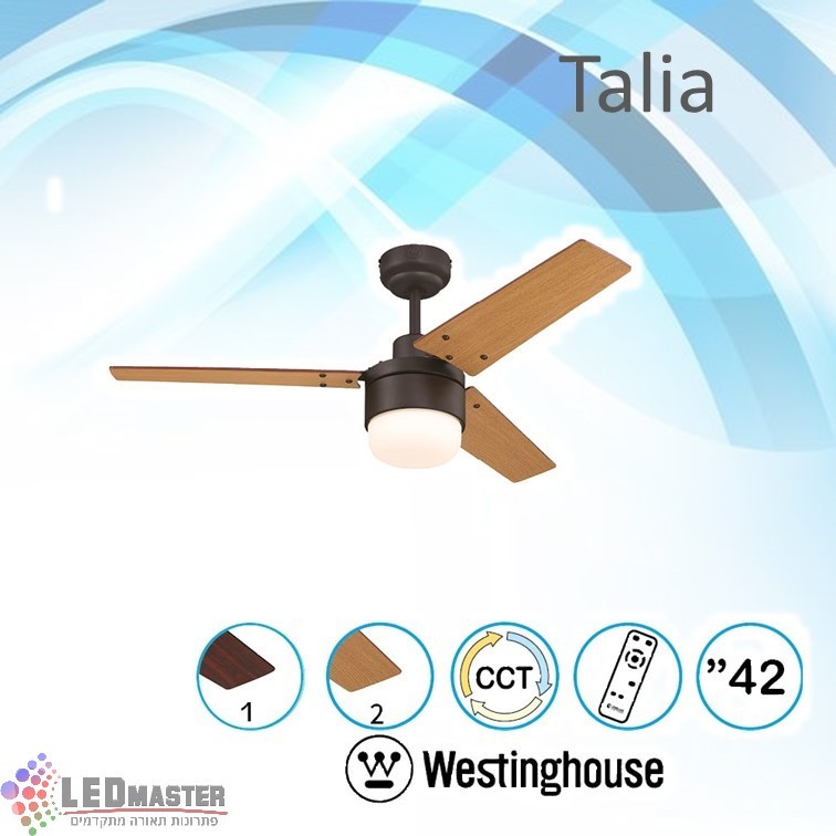 ������ ���� ���� CCT 42" Talia