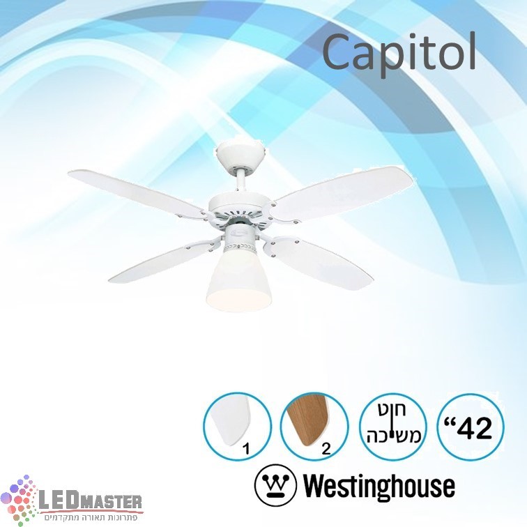 ������ ���� ������ 42" Capitol