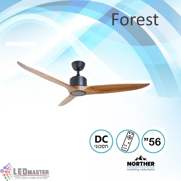 ������ ���� ����� "56  Forest