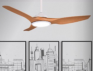 ������ ���� � ����� ������� ������ ����