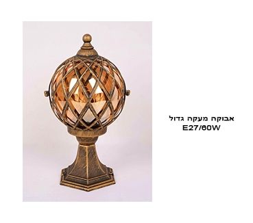 ����� ���� ����