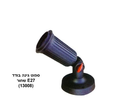 ���� �����
